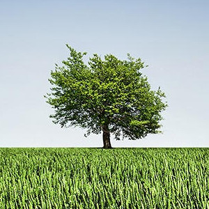 One Breath Meditation