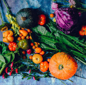 World peace through diced vegetables medium