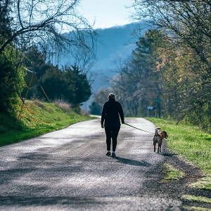 Guided meditation vs unguided meditation